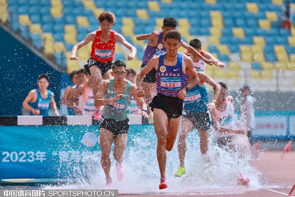 心的培养 心的培养