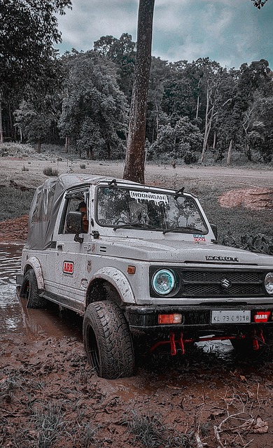 高准翼与武 高准翼与武