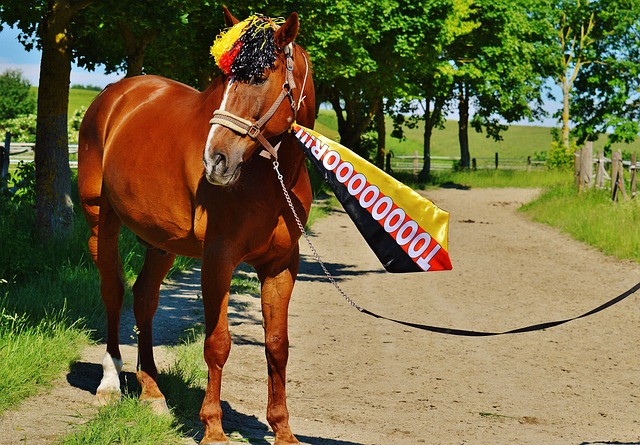 经济制裁 经济制裁
