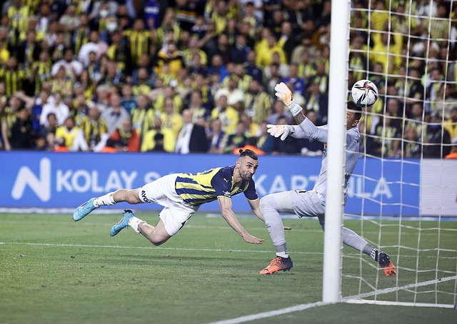 可持续发展 可持续发展